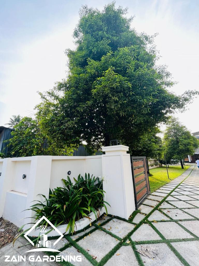 WhatsApp Image 2026-01-27 at 11.27.05 PM (1) - Copy